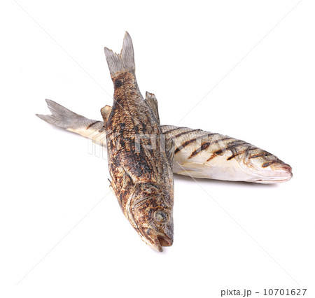 Two grilled seabass. 10701627