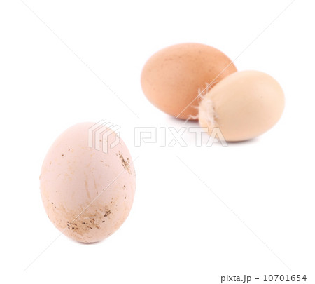 Homemade egg on a white background. Homemade egg on a white background. 10701654