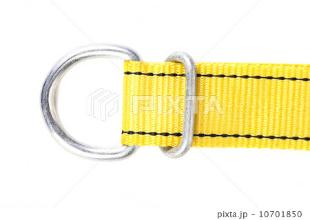 Yellow cotton belt. Yellow cotton belt. 10701850