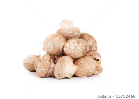 Brown champignon mushroom. Brown champignon mushroom. 10702460