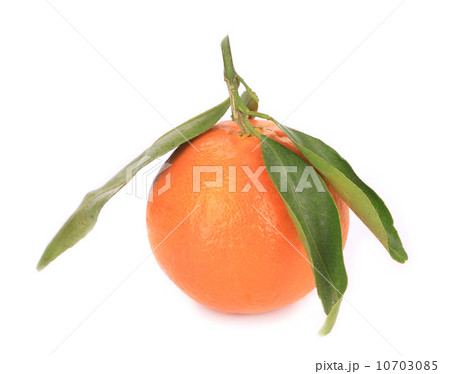 Ripe orange with leaves. 10703085