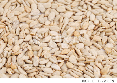 Fresh sunflower seeds. 10703119