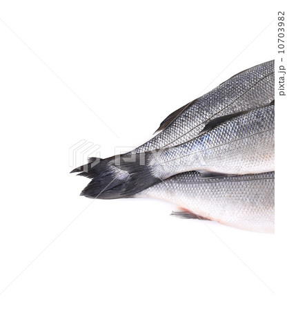 Close up of three tails fresh seabass fish. 10703982