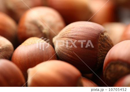 Fresh brown hazelnut 10705452
