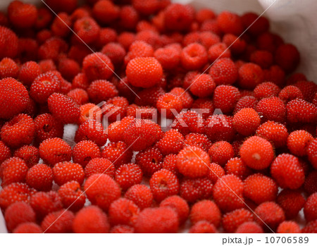 野いちご 野いちご 10706589