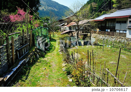 春の山里 10706617