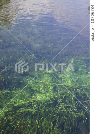 忍野八海 10706734