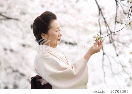 桜とシニア 桜とシニア 10708393