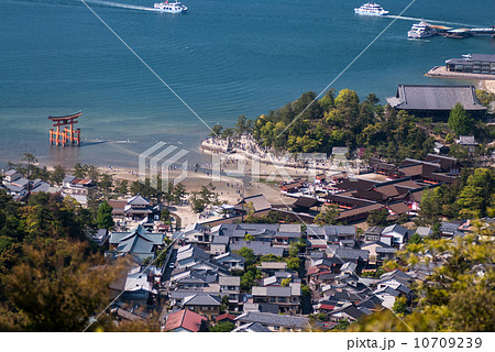 厳島神社 厳島神社 10709239