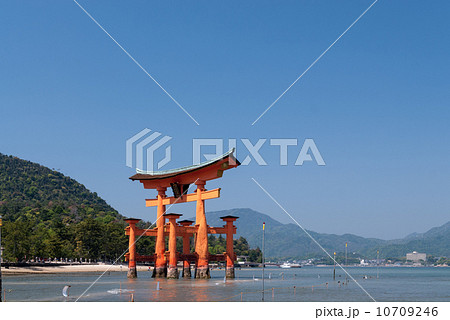厳島神社　大鳥居 10709246