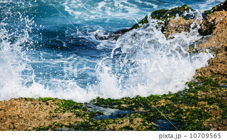 a surf on coral reefs a surf on coral reefs 10709565