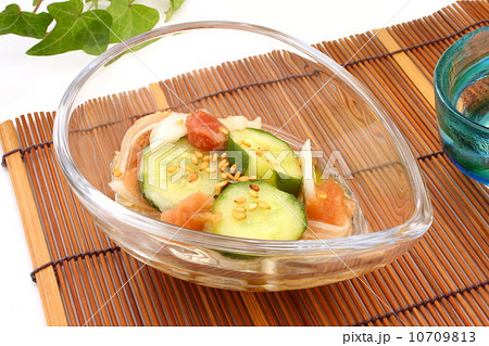 酢の物　冷酒　晩酌　夏　和食　白背景 10709813