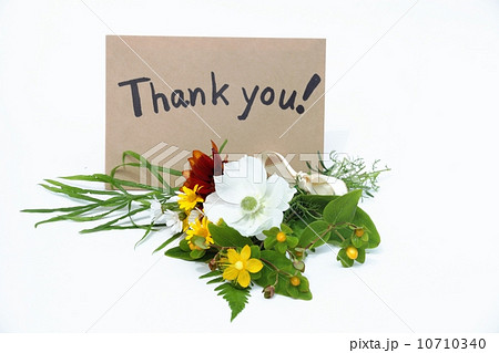 ありがとう 10710340