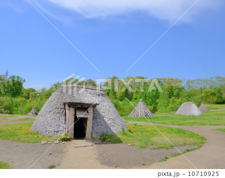 三内丸山遺跡 10710925