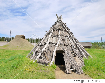三内丸山遺跡 10710929