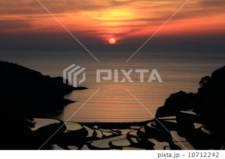 夕暮れの浜野浦の棚田 10712242