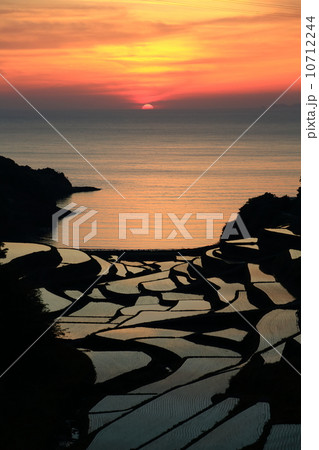 夕暮れの浜野浦の棚田 10712244
