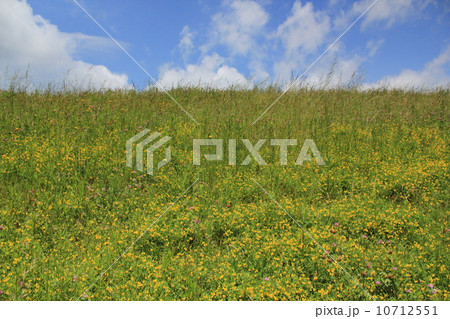 碧空　環境　晴れ 10712551