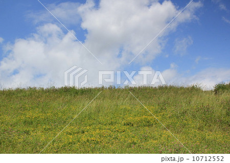 碧空　環境　晴れ 10712552