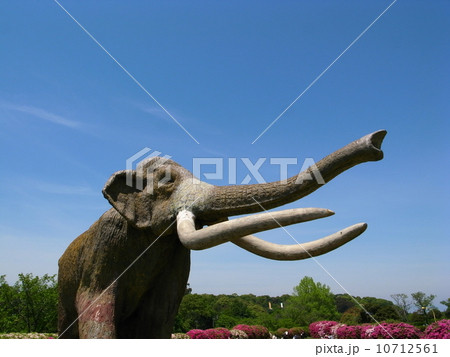 みさき公園のマンモス像 10712561