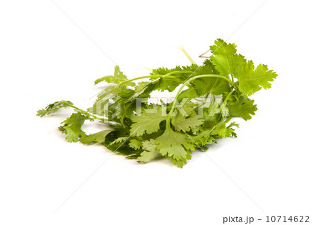 Parsley tied in a bunch with twine isolated Parsley tied in a bunch with twine isolated 10714622