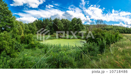 Panorama of summer morning lake 10718486