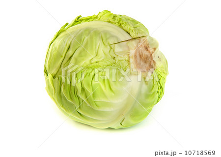 Green cabbage isolated on white 10718569