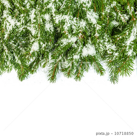 Christmas background. Eve framework 10718850