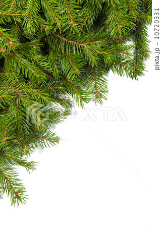 Christmas background. Eve framework 10720331