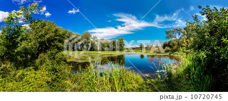 Panorama of summer morning lake Panorama of summer morning lake 10720745