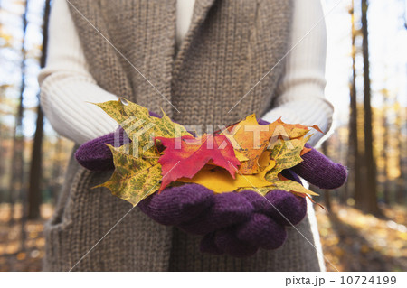 USA, New Jersey, Woman holding leaves in Autumn forest, mid section USA, New Jersey, Woman holding leaves in Autumn forest, mid section 10724199