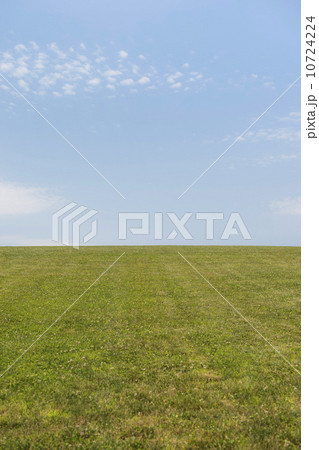 USA, New Jersey, Mendham, Empty meadow USA, New Jersey, Mendham, Empty meadow 10724224