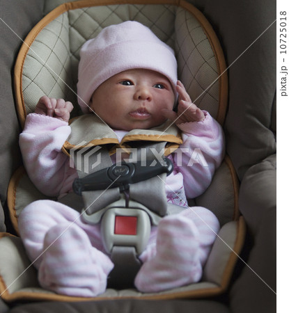 Portrait of newborn girl (0-1months) in car seat 10725018