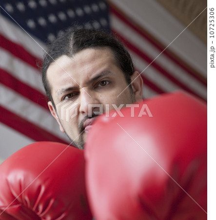 Angry American boxer 10725306