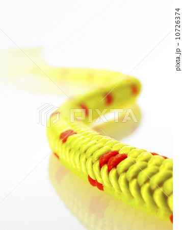Yellow rope Yellow rope 10726374