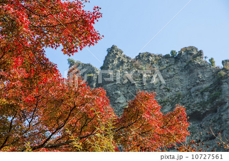 寒霞渓の秋　層雲壇 10727561