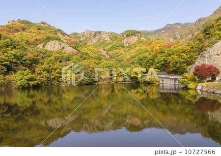 寒霞渓の秋 猪谷池 寒霞渓の秋 猪谷池 10727566