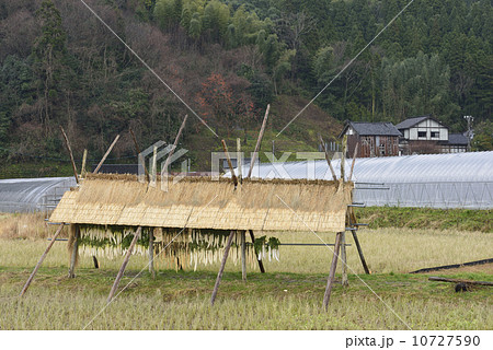 冬の準備／石川県　輪島市 10727590