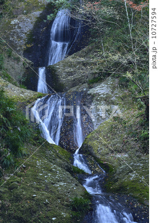 夕暮れの阿寺の七滝（日本の滝百選）／愛知県　新城市 10727594