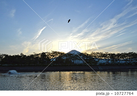 夕陽･富士山（東山湖フィッシングエリア／静岡県御殿場市東山） 10727764