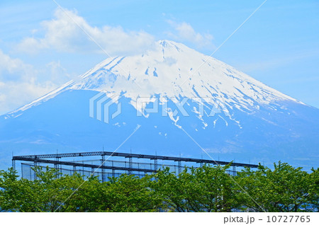 初夏の富士山(東山湖フィッシングエリア/静岡県御殿場市東山) 初夏の富士山(東山湖フィッシングエリア/静岡県御殿場市東山) 10727765