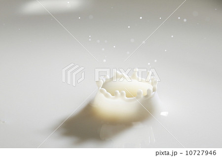 ミルククラウン 10727946