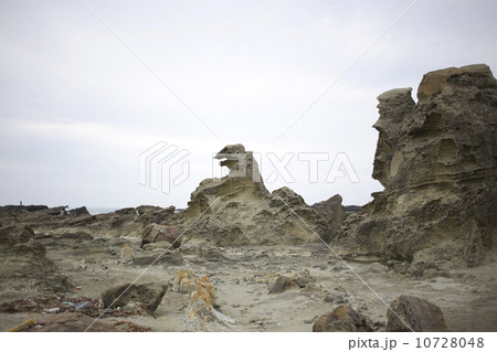 ゴジラ岩 ゴジラ岩 10728048