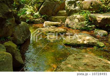 殿ヶ谷戸庭園・湧水 殿ヶ谷戸庭園・湧水 10728491