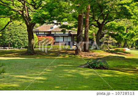 殿ヶ谷戸庭園・大芝生の庭と本館 10728513