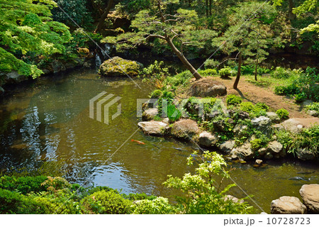 殿ヶ谷戸庭園・次郎弁天池 殿ヶ谷戸庭園・次郎弁天池 10728723