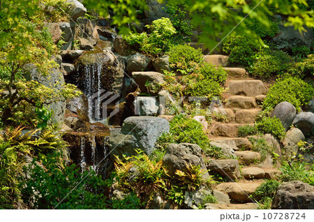 殿ヶ谷戸庭園・滝と石段 殿ヶ谷戸庭園・滝と石段 10728724
