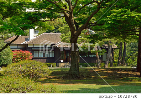 殿ヶ谷戸庭園・庭園の木々と本館 10728730