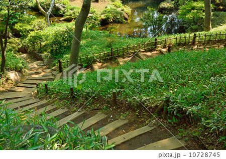 殿ヶ谷戸庭園・次郎弁天池への道 殿ヶ谷戸庭園・次郎弁天池への道 10728745