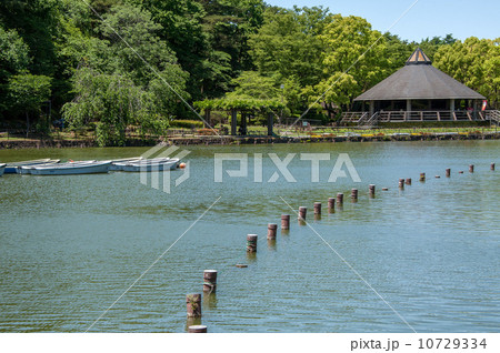 千葉県千葉市の千葉公園 千葉県千葉市の千葉公園 10729334